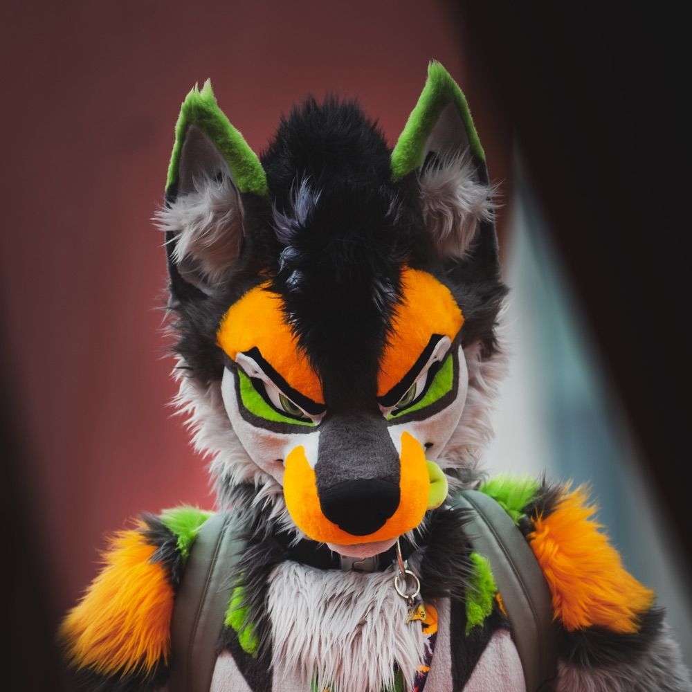 Lepton 🐺 🔜 CFz, EF