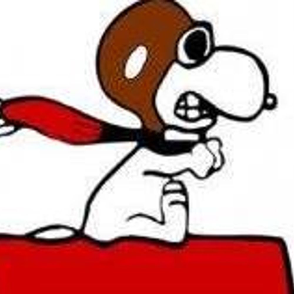 janefromnc.bsky.social