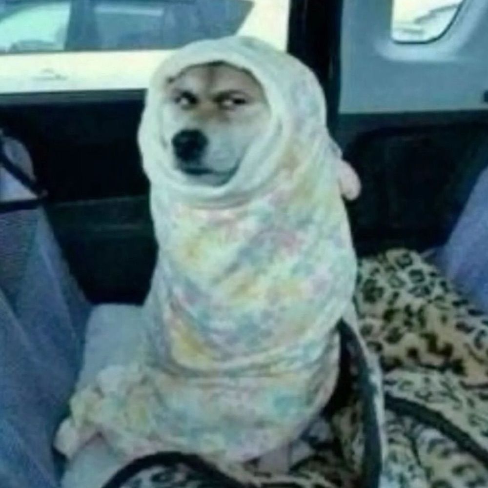 chonk