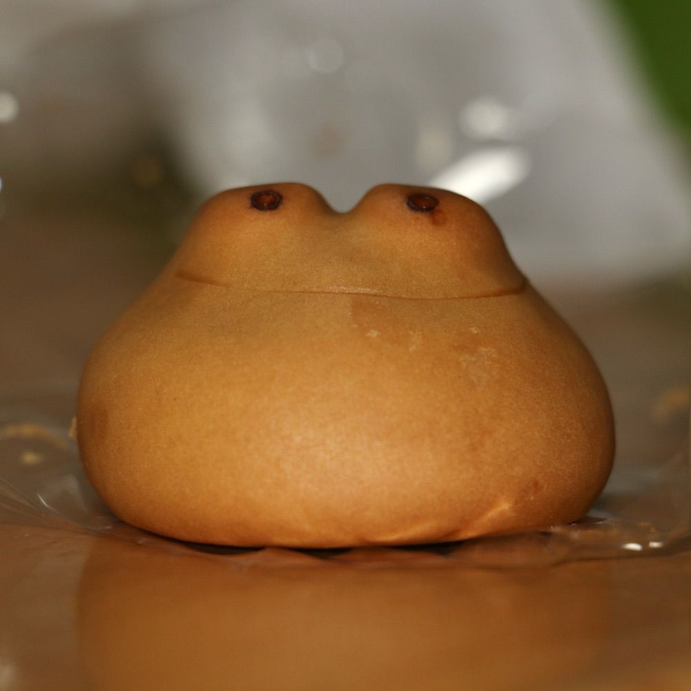 kapcan/かぷかん