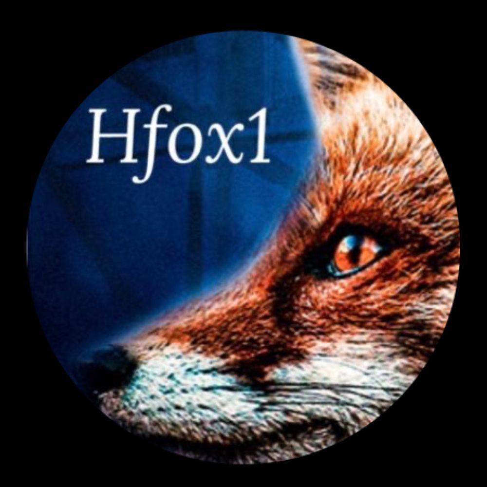 Hfox1 (H) Looking Upstream & Downstream