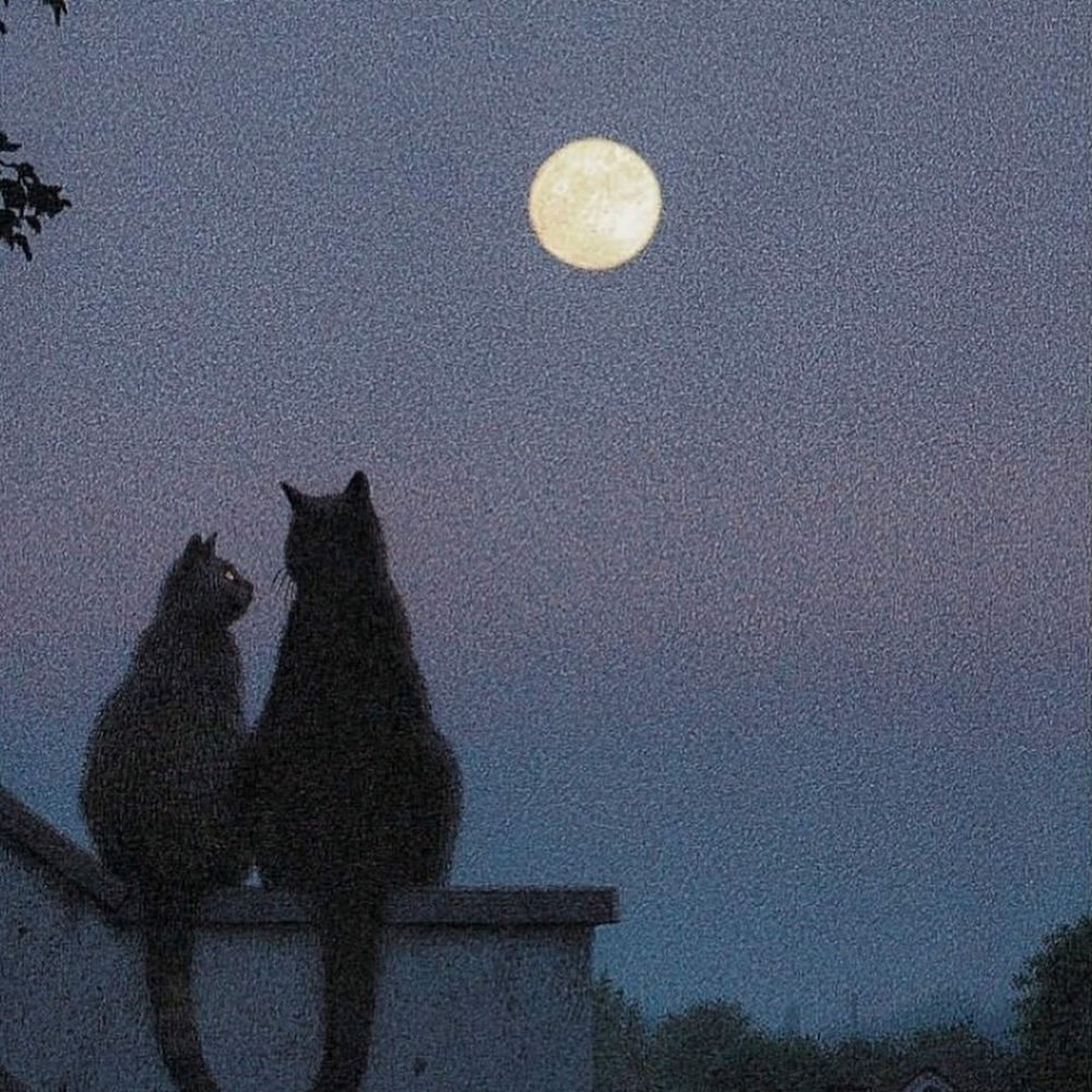 Beewolf