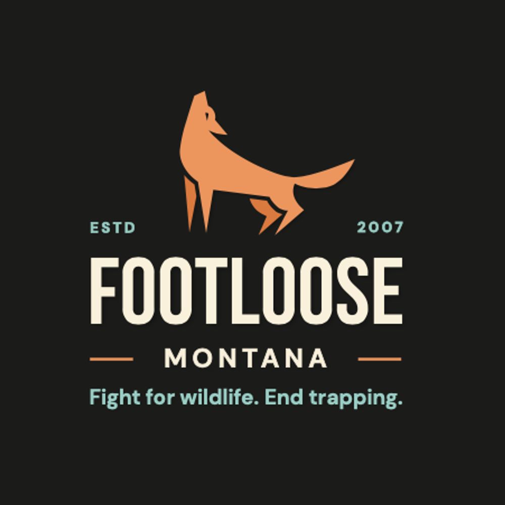 Footloose Montana