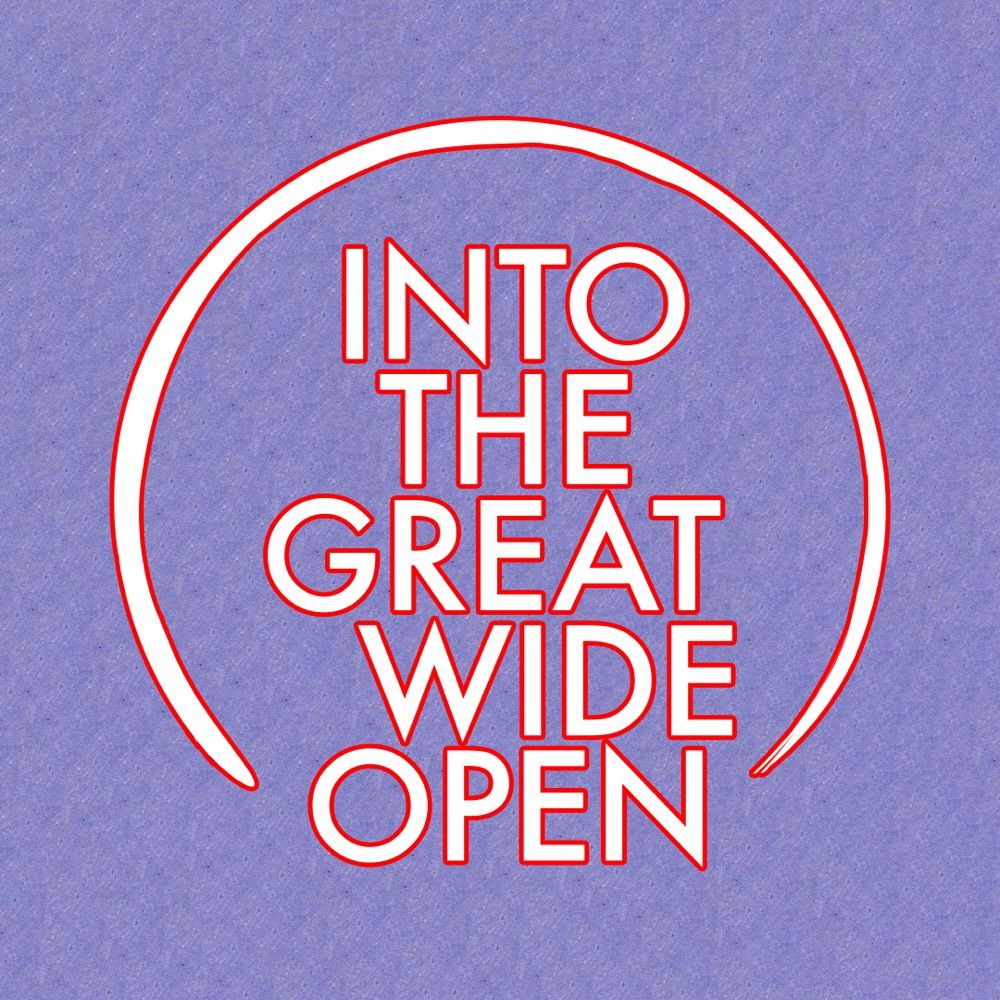 Into The Great Wide Open