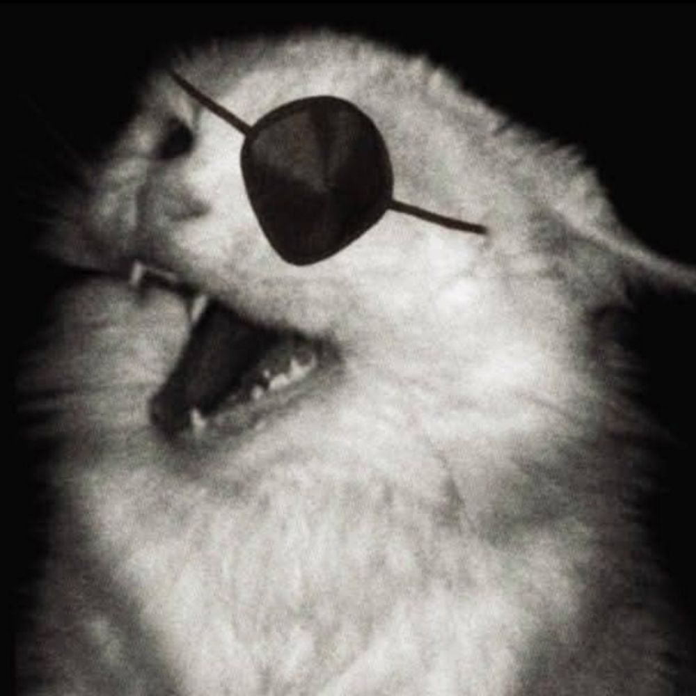 Captain PirateFace