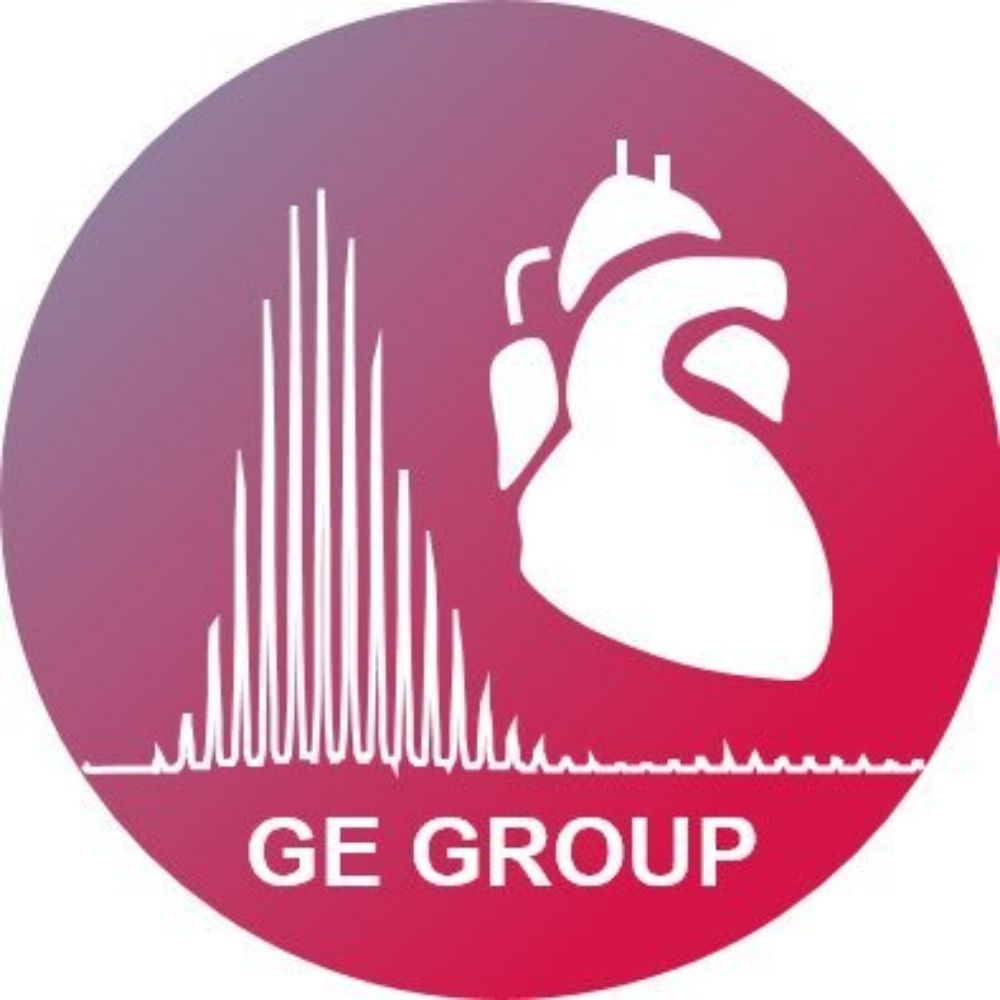 Ying Ge Research Lab