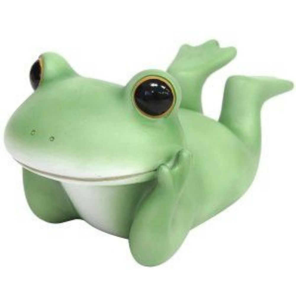 tree frog🐸