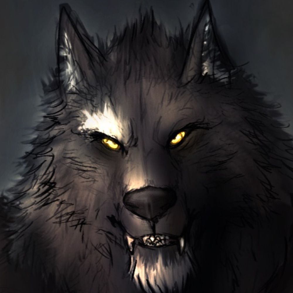 Silver Fang's avatar