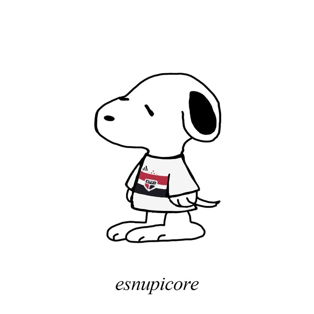 Flechapy
