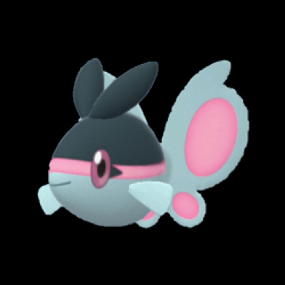 gaybassproshop.bsky.social profile picture
