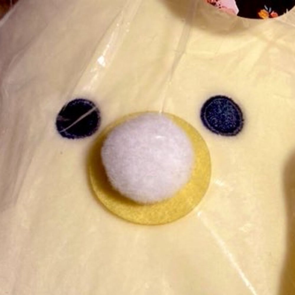 つぼちゃ