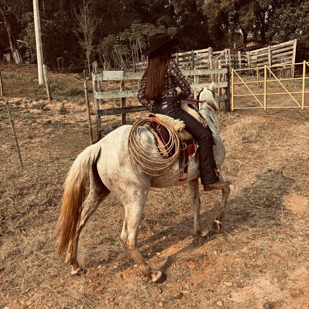 Stella