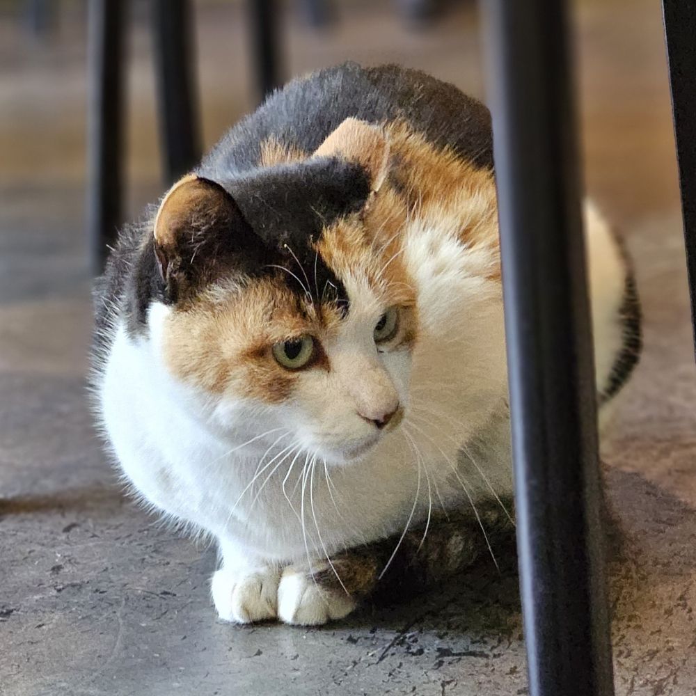 모래
