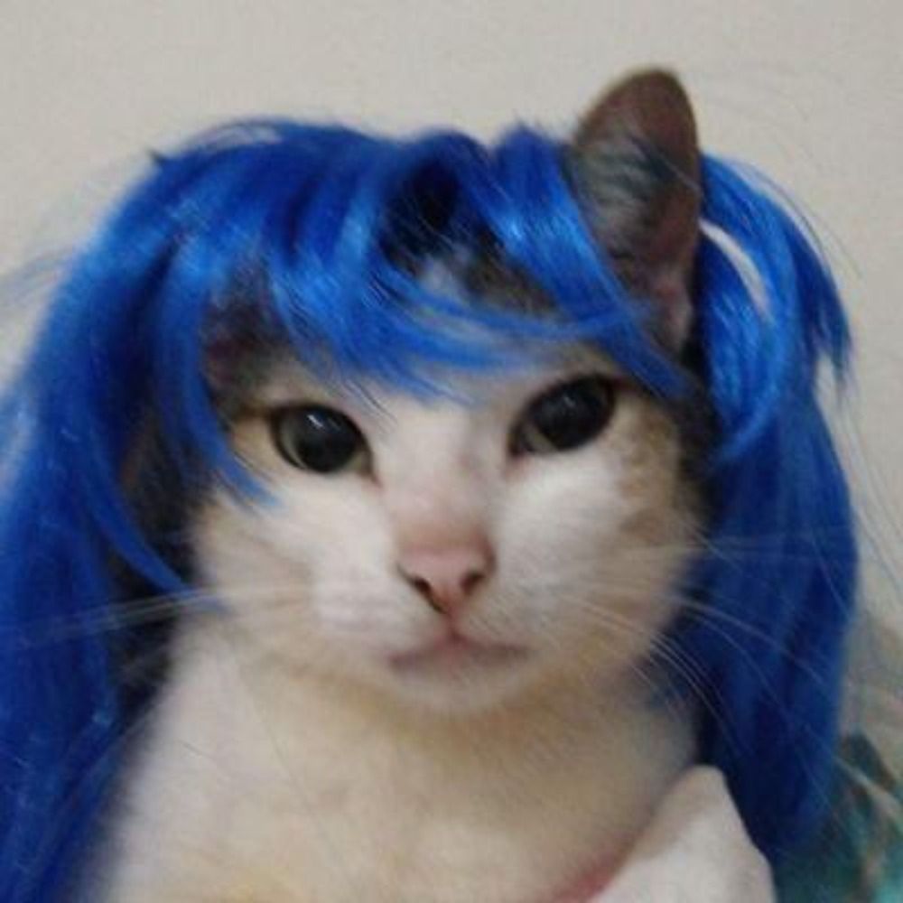 Lo