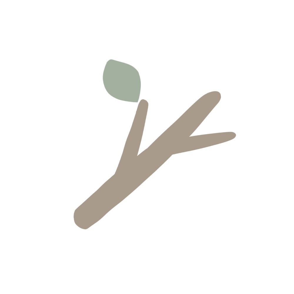 枝