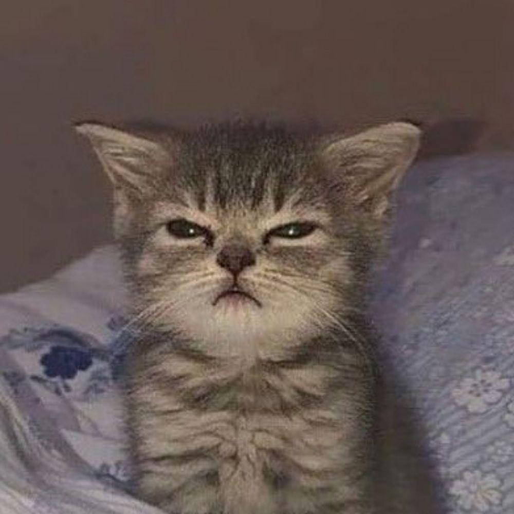 User avatar