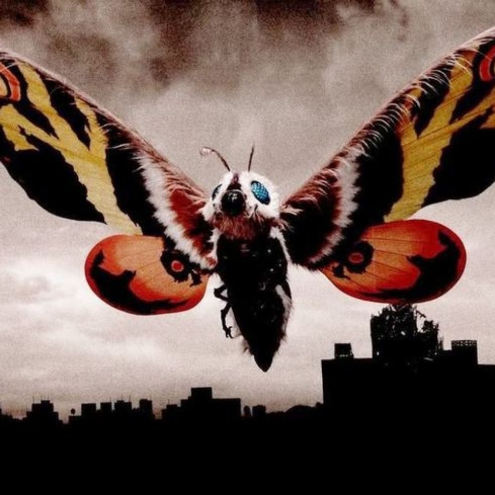 Todo Dia Mothra