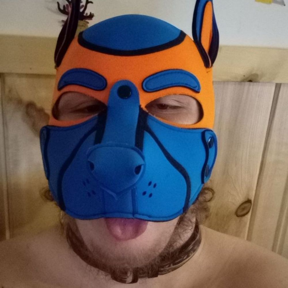PupAc3.bsky.social