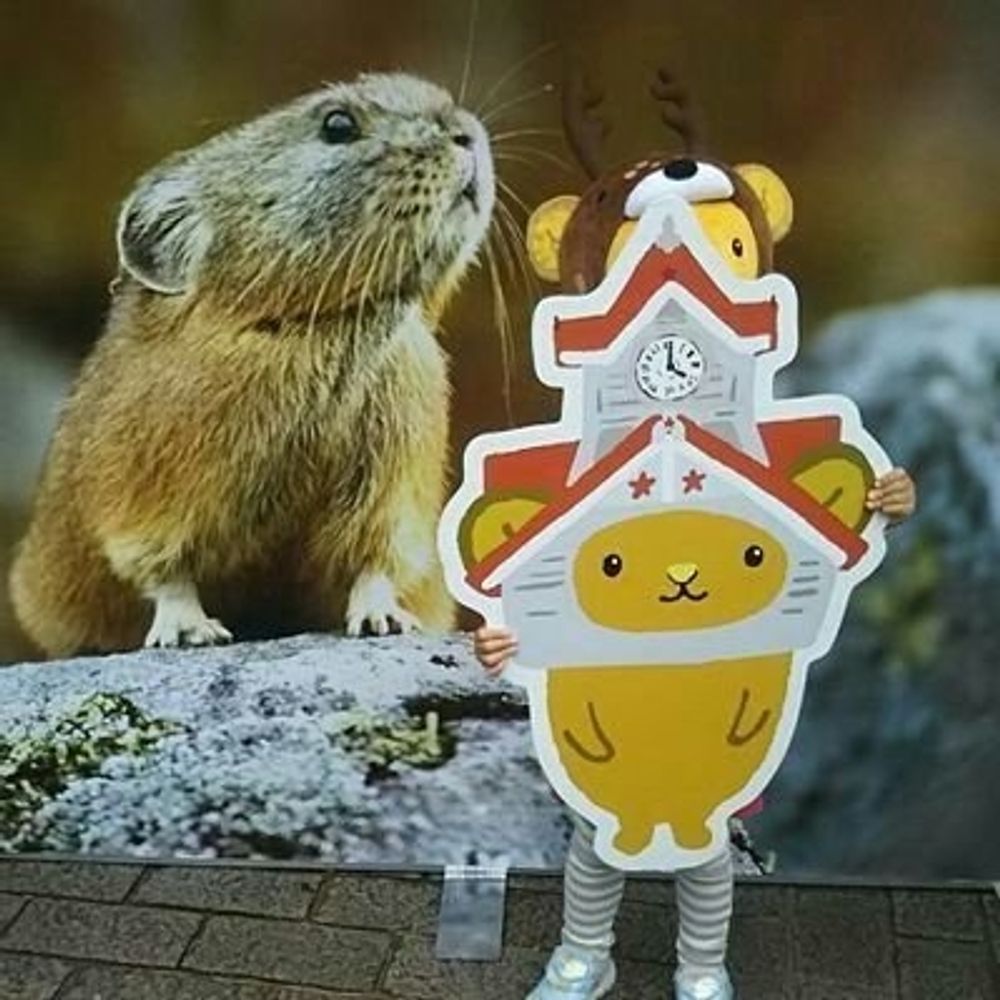 ダクソン