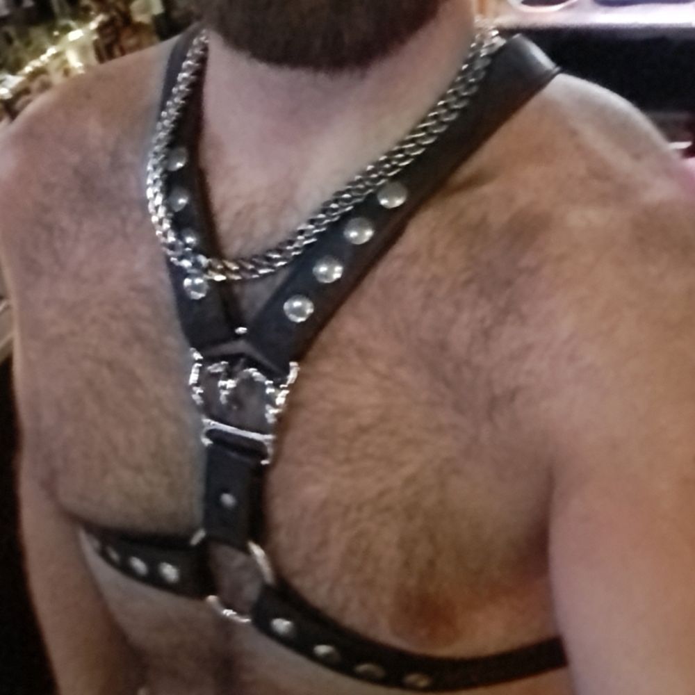Handler D