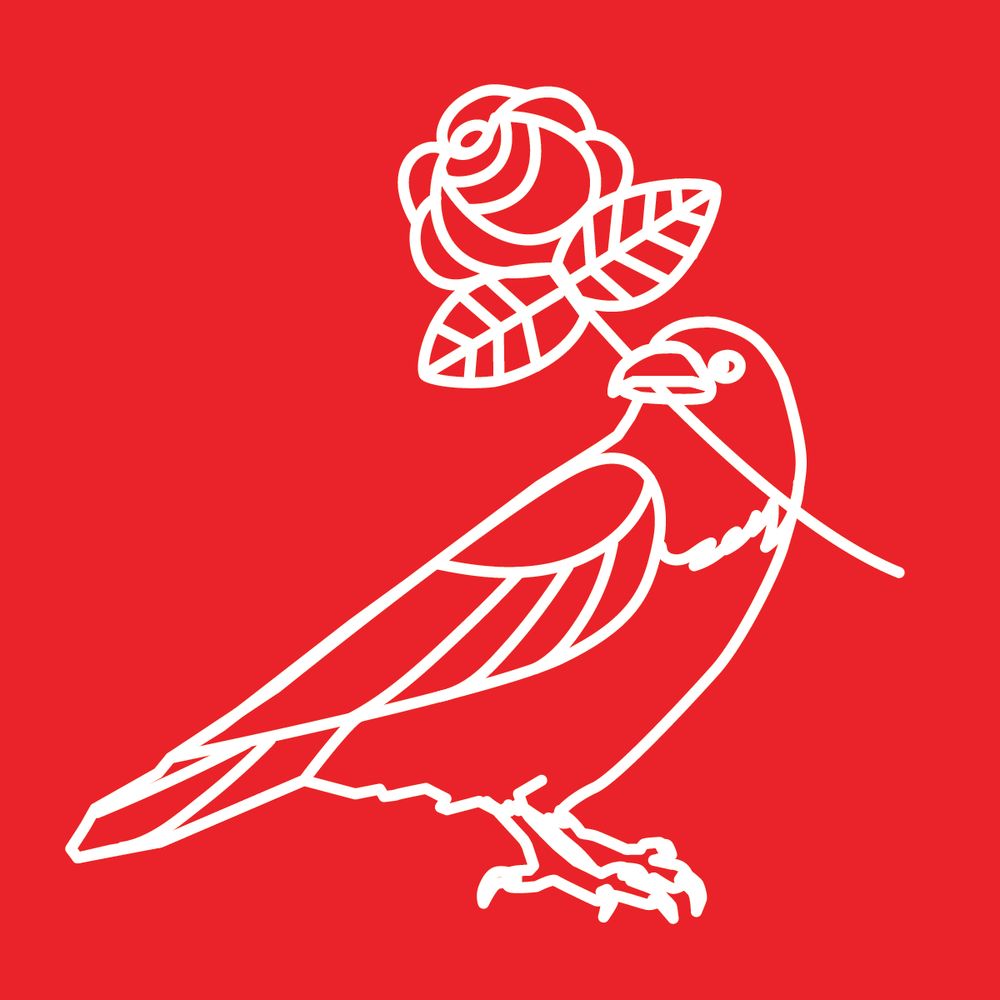Greater Baltimore DSA