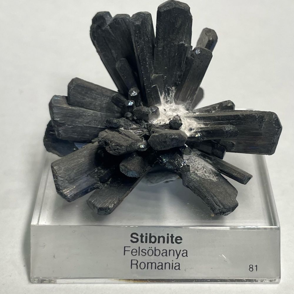 Compendium Mineralis