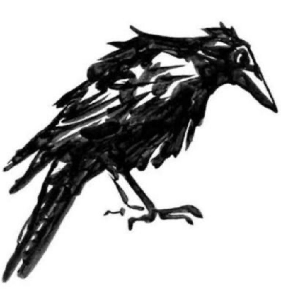Blue raven