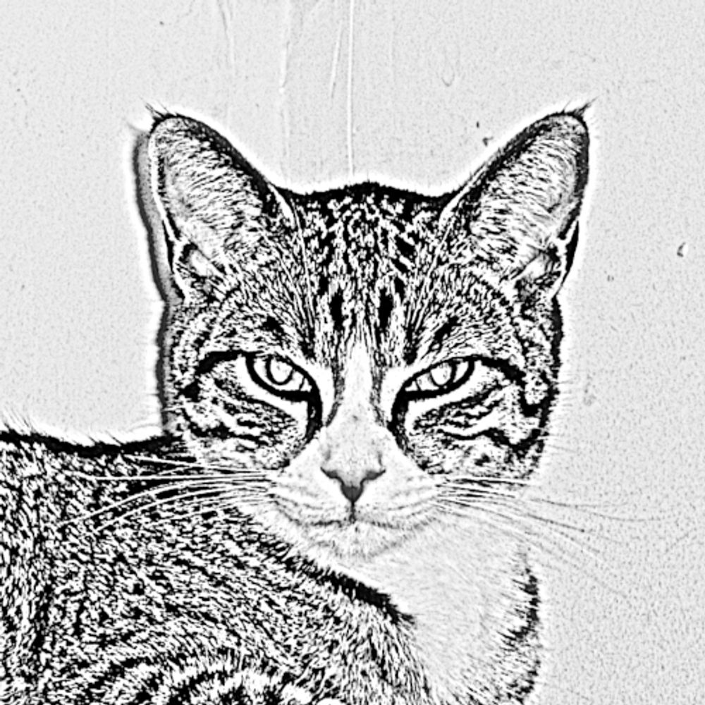 jgraycat