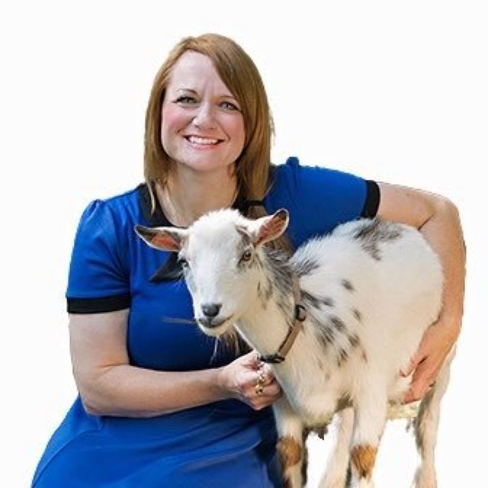 Ali Schilpp