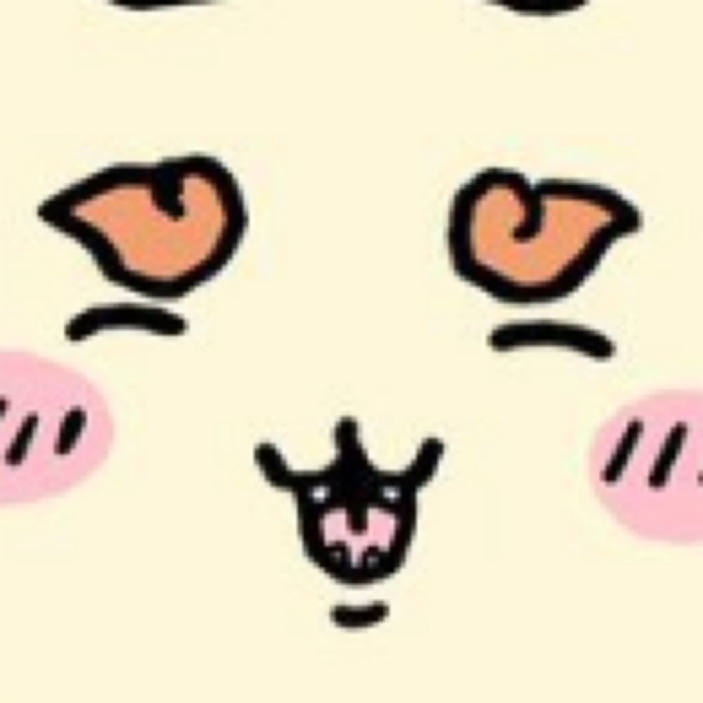 かいと
