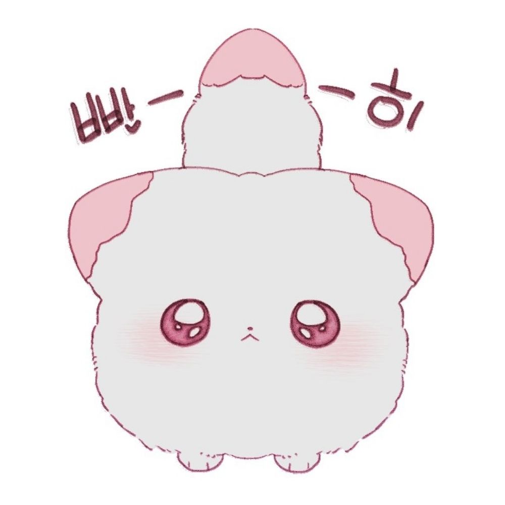 딕트