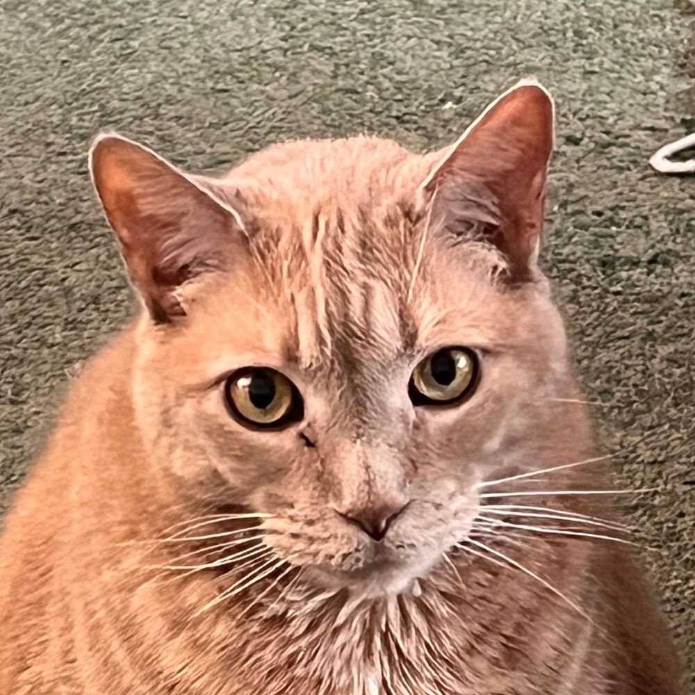 BillyBru