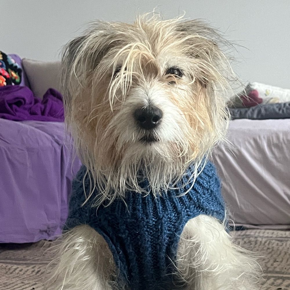 Rufus