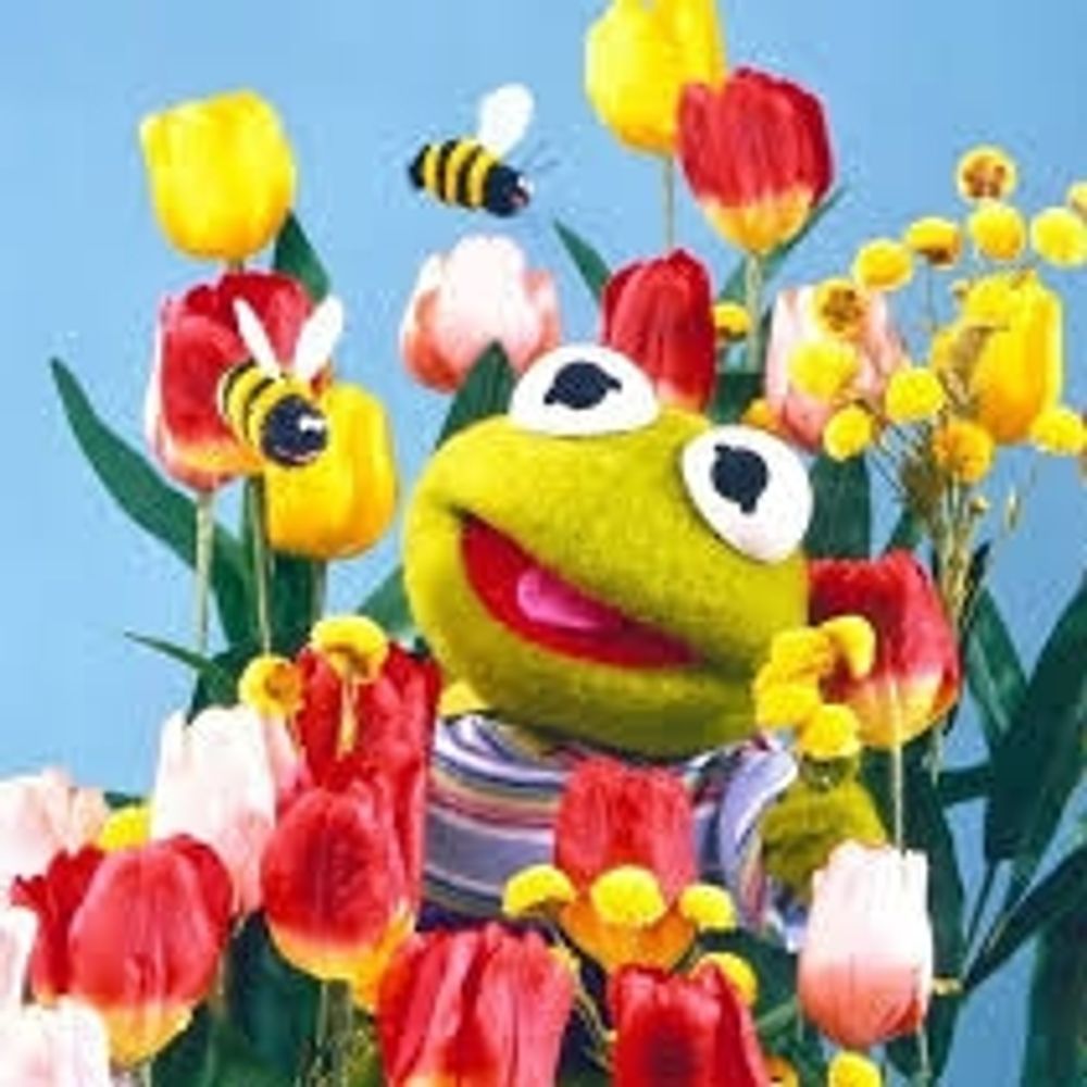 Froggyo