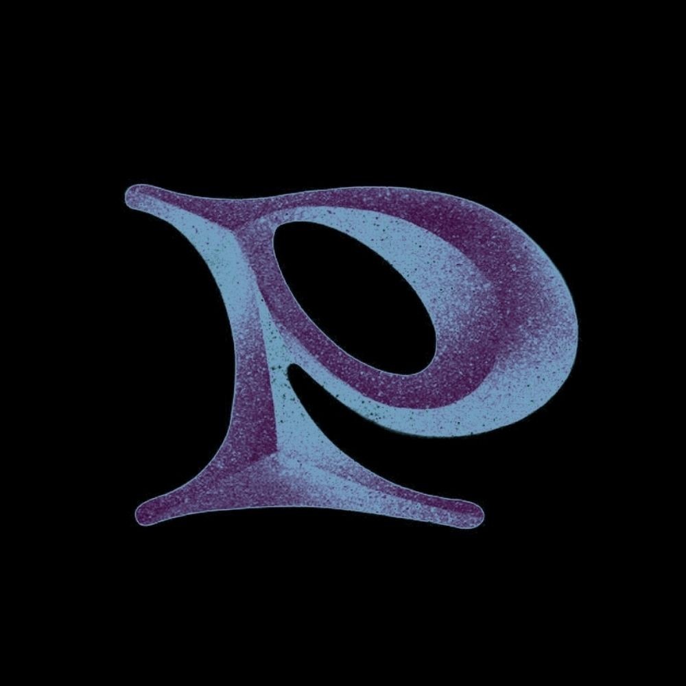 Palavras