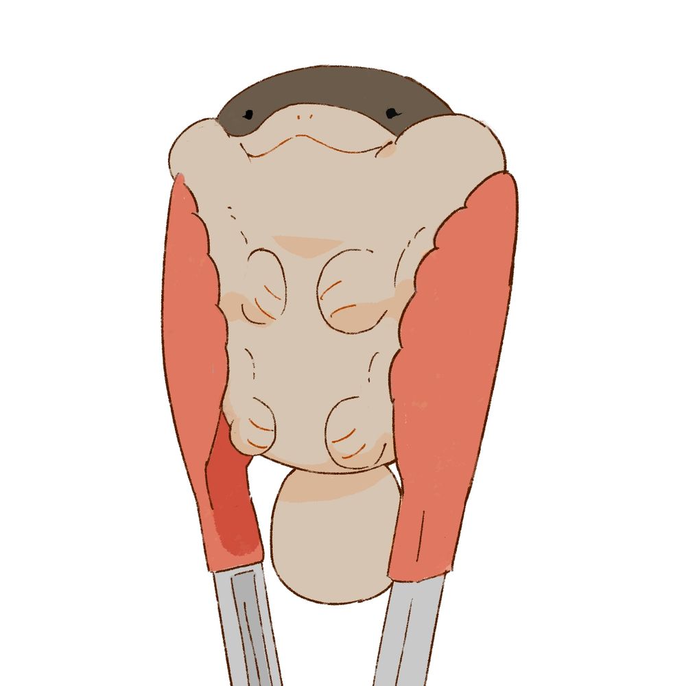 AKIPI