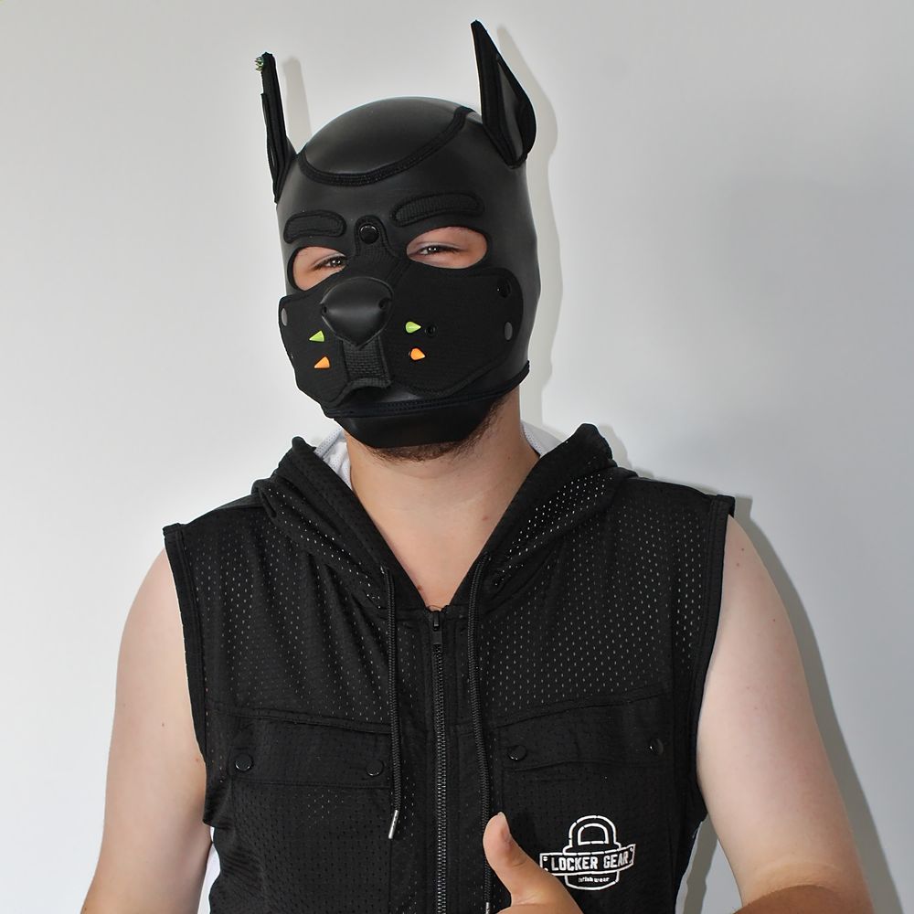 Luka_duke_puppy