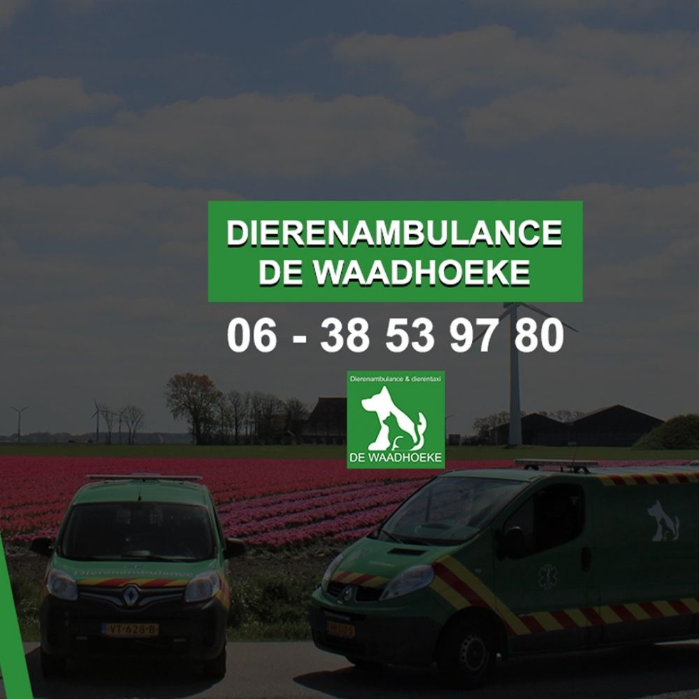 Dierenambulance De Waadhoeke