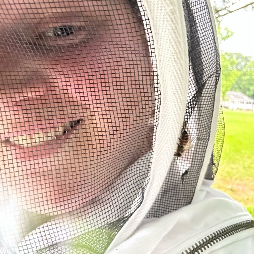 Crafty Bee 🐝