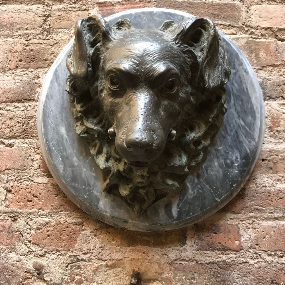 Cornbread Coyote