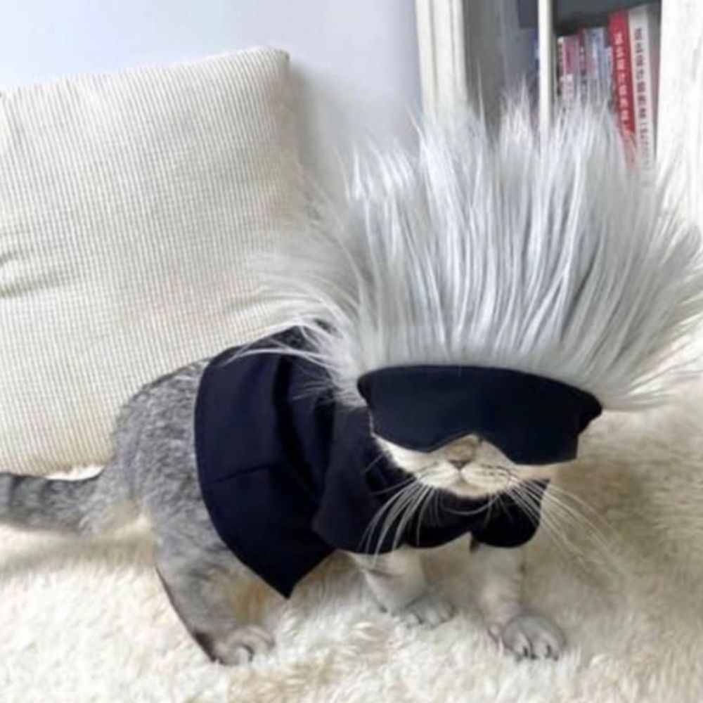Kash