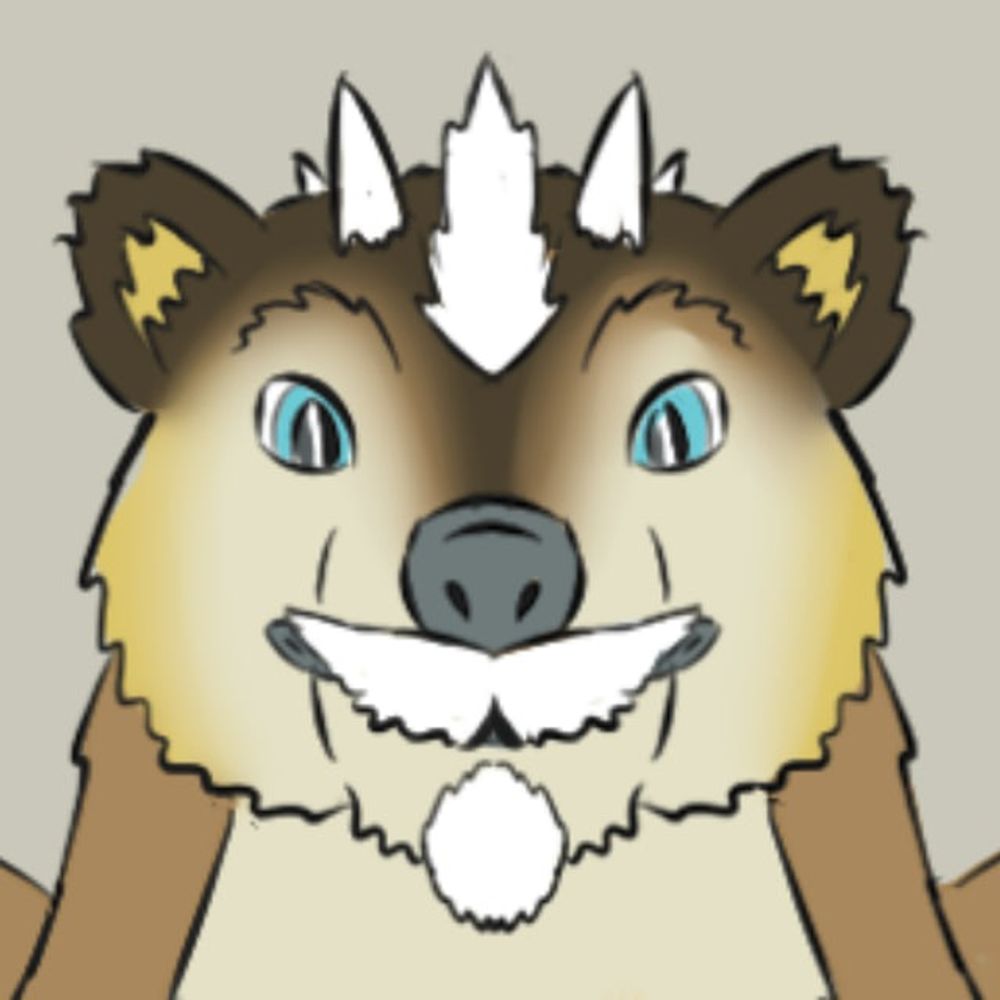 Poplar0m0