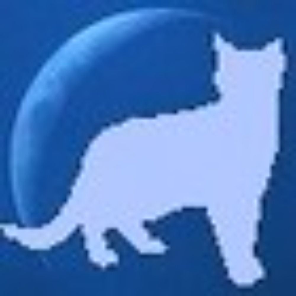 青っぽい猫