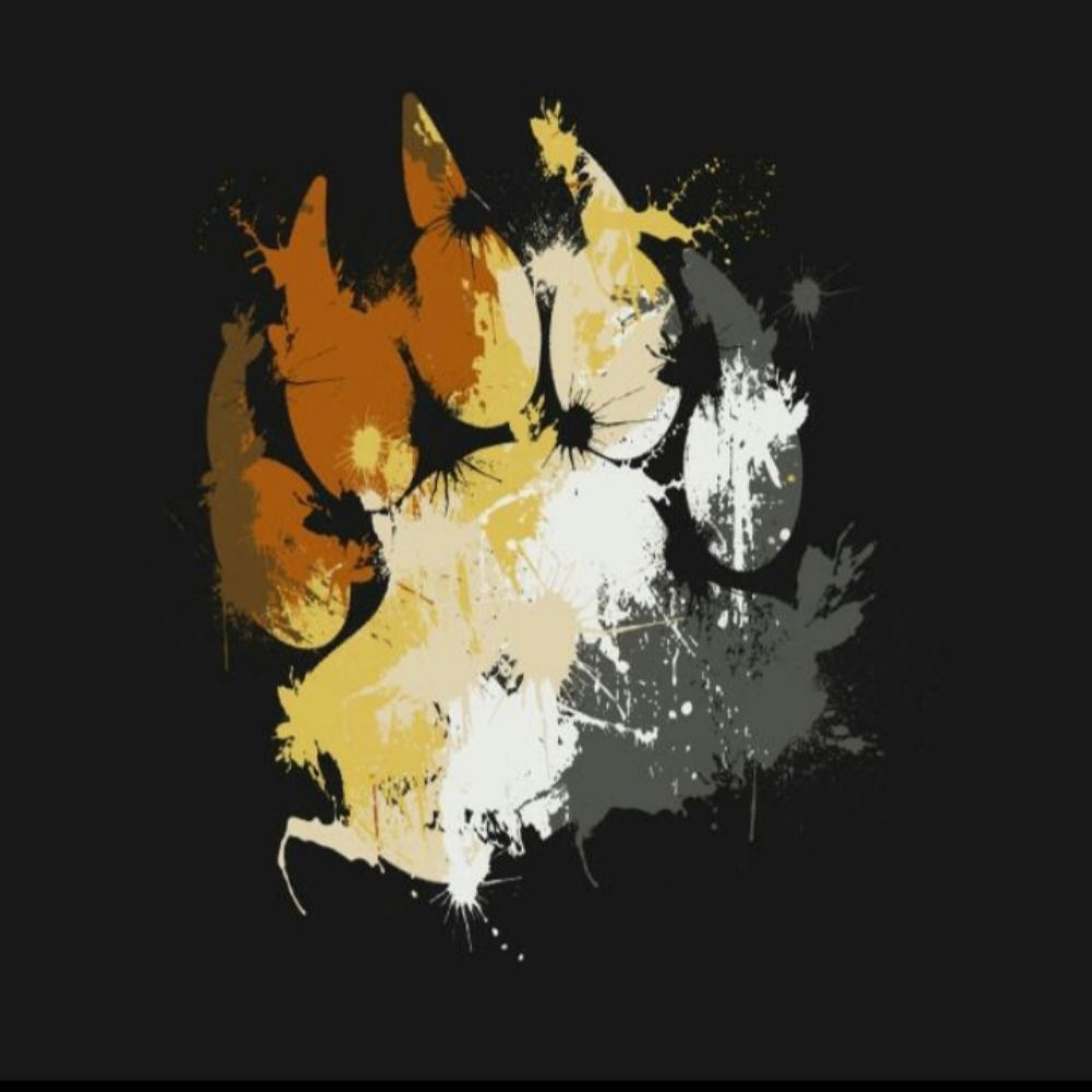 Bears Brasil Oficial 