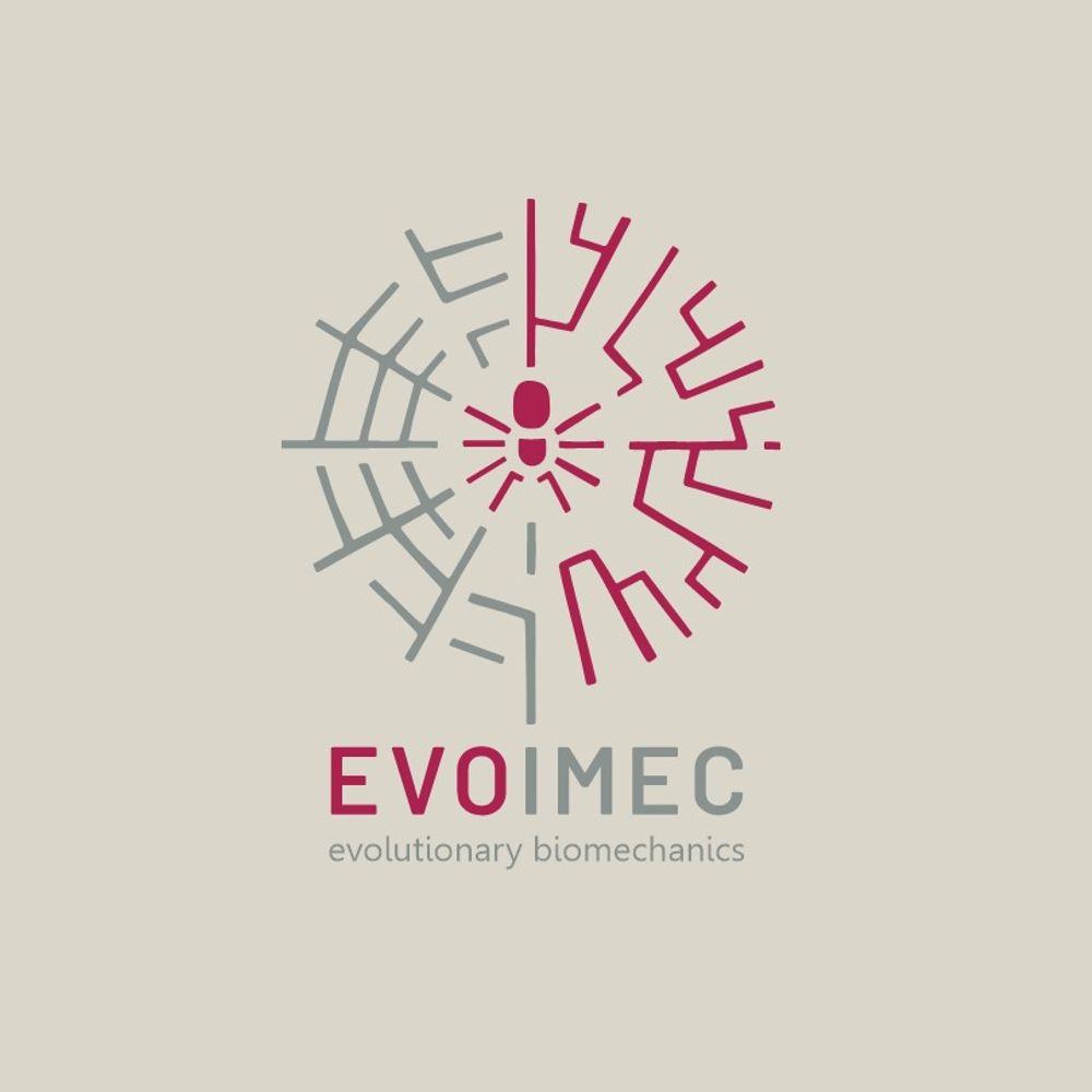 Evolutionary Biomechanics lab Greifswald