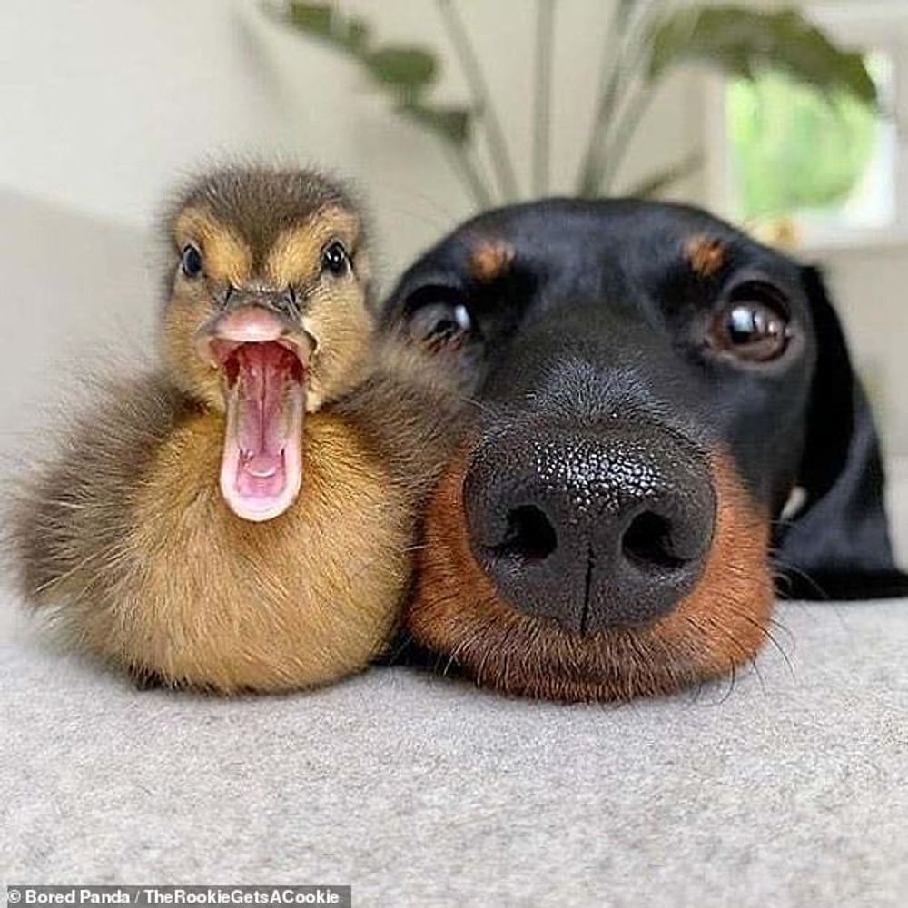 Nature is Awesome