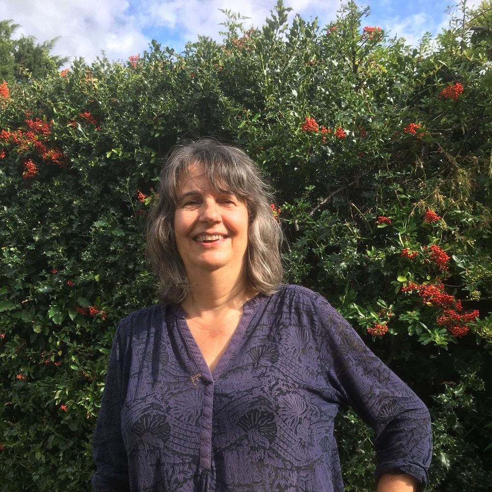 Clare Shaw the Writer