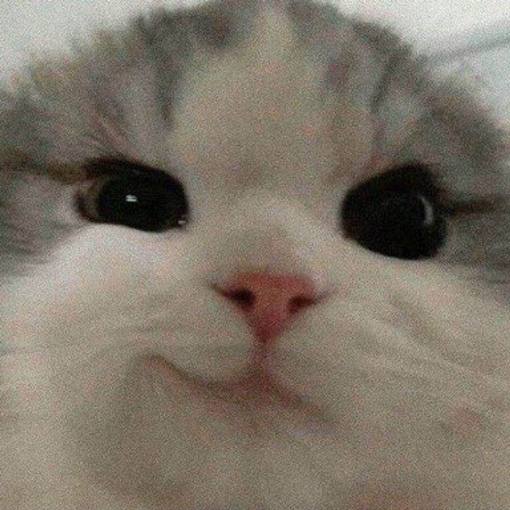 justsomeghost
