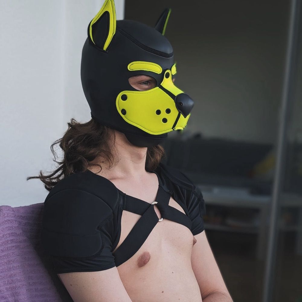 Pup Mirio 💛🌱