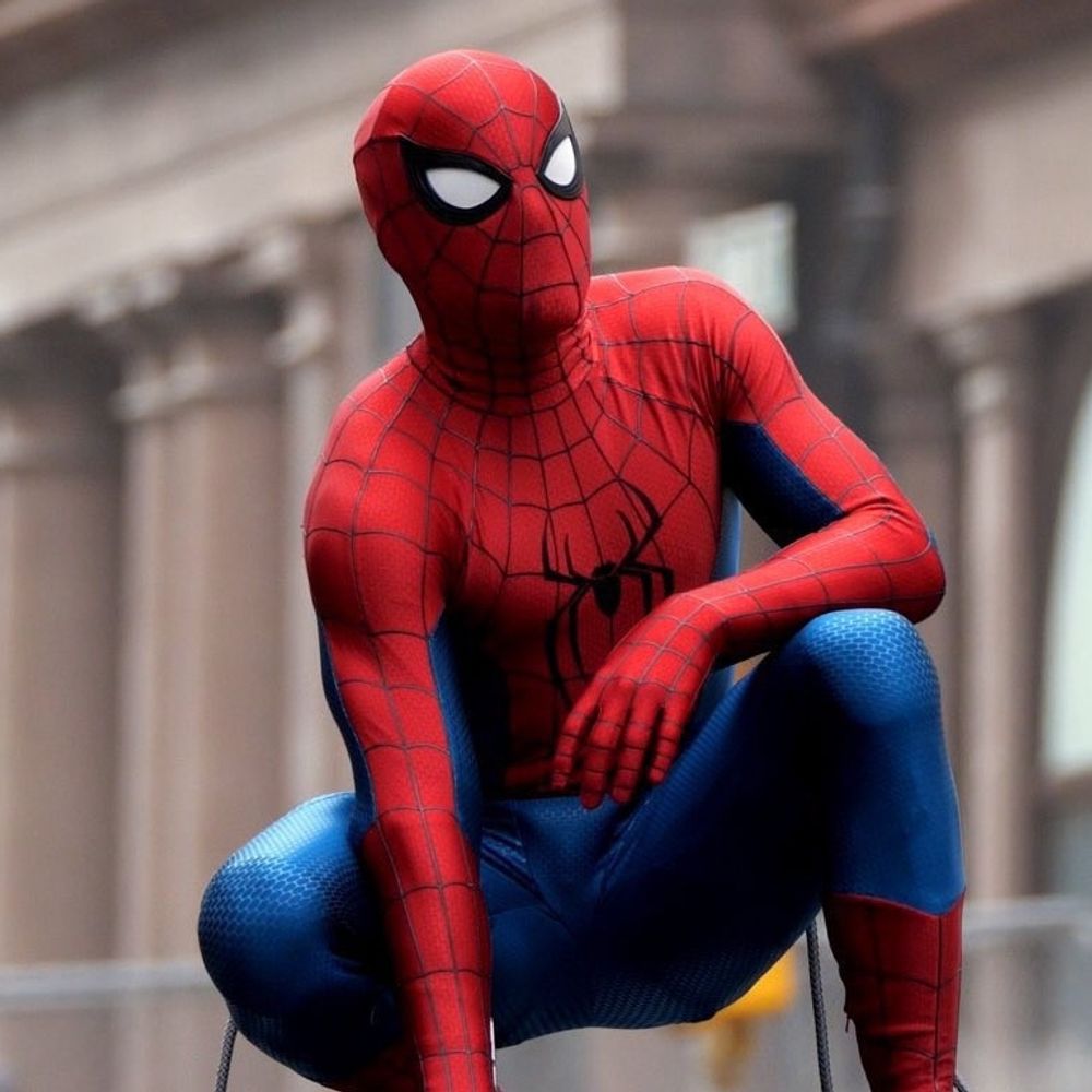 Spider-Geek*